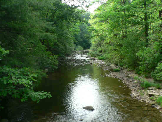 Looking down the Whitewater River...