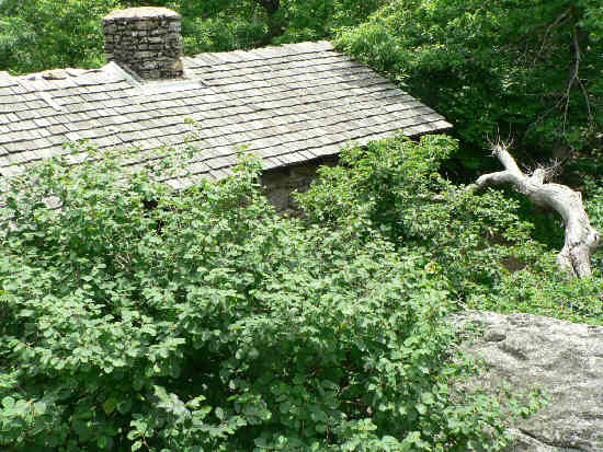 Looking down to the Blood Mountain shelter from the rock over-look.