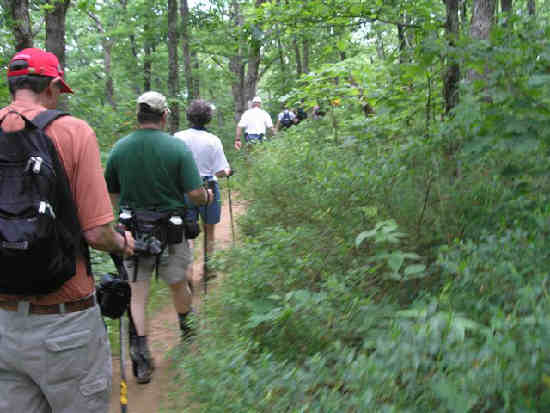 Another great day for a hike!