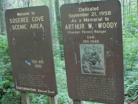 Information signs on the Sosebee Cove Trail. .