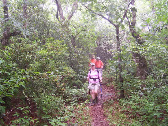 Coming down the mountain.