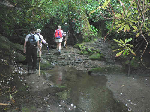 Lots of cool mountain streams along the way!