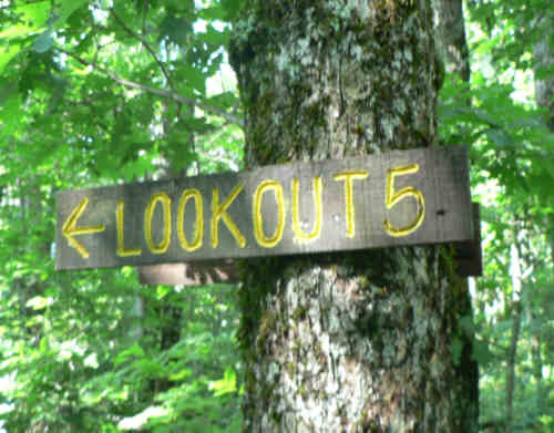 Along the ridge of Chinquapin Mountain, there are 5 lookoff points on rock ledges. .