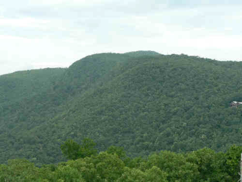 Views from the observation tower.
