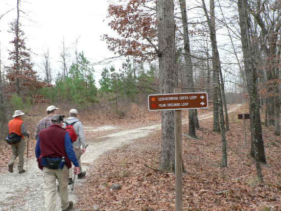 We now move down to the Leatherwood Creek Loop Trail.