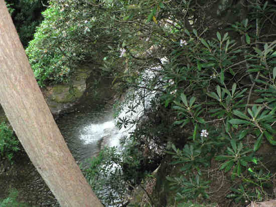 All along the trail to the cliffs, you see and hear rushing water. Here is a nice waterfall.
