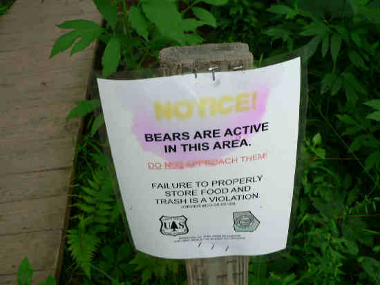 We always see these signs but rarely ever see a bear......
