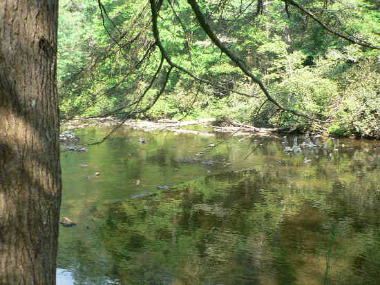 This shallow spot on the river is Burrell's Ford.
