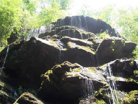 Now we arrive at Yellow Branch Falls. (water level a bit low due to drought)