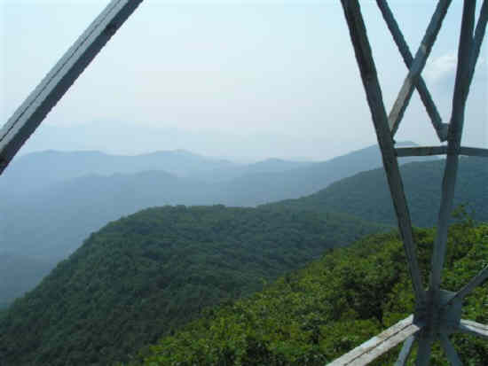 A view from the tower!