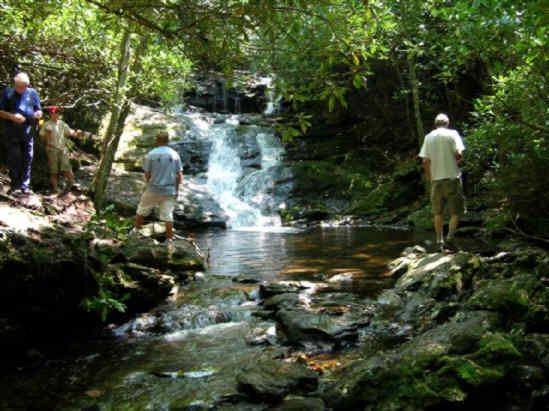 Laurel Falls!