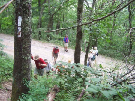 Crossing the Wayah Bald gravel road. .
