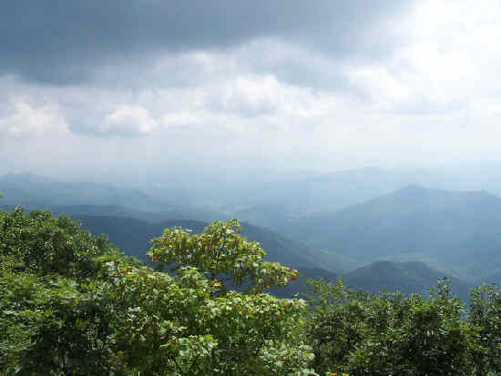 View from the tower.