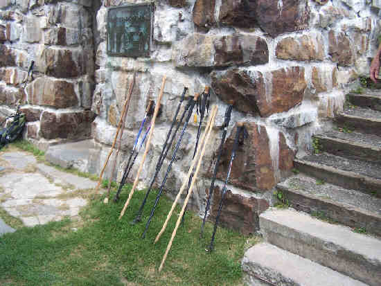 Our array of hiking sticks!