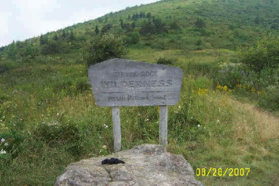 The Wilderness sign at Ivestor Gap.