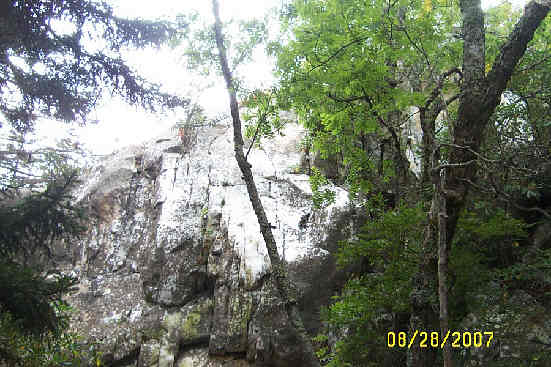 At the base of Shining Rock we see huge white quartz cliffs.