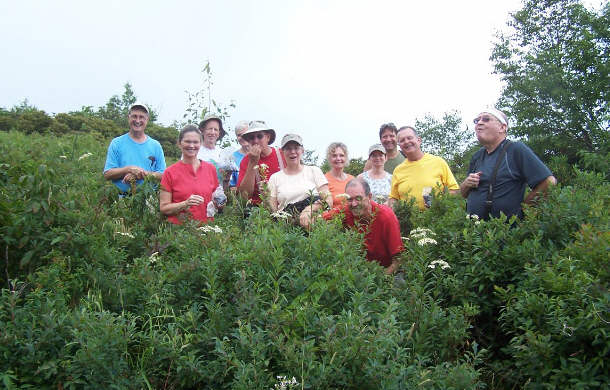 The OFHC gang from today's hike foraging blueberries! (l-r) Dan Ross, Linda Johnson, Phil Brownrigg, Dick Metzgar, Wayne Miller, Wanda Miller, Carole Wintle, Pom Sinnock, Melissa Anderson, Jeffrey Anderson, Dave Standard, Doug Russell.