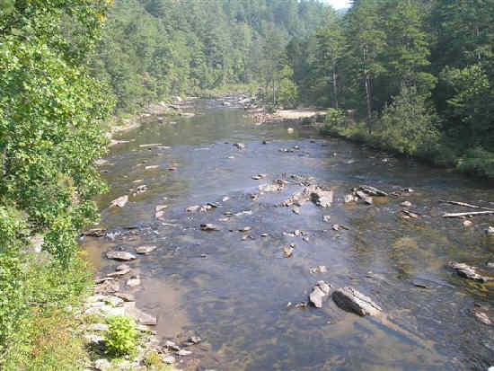 View from the bridge! .