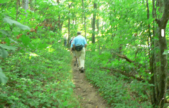 Another great day for a hike on the Appalachian Trail!
