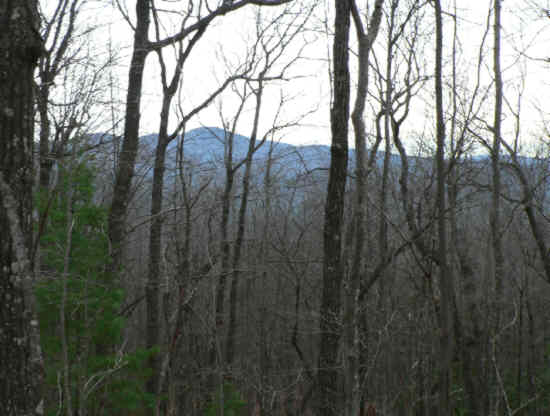 Typical view of the mountains. Here we see Rabun Bald. (Georgia's second highest peak 4,696 ft.)