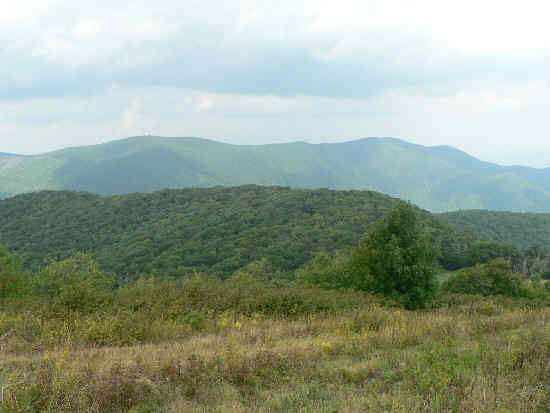 Looking from Siler Bald over to Winespring Bald and Wayah Bald.