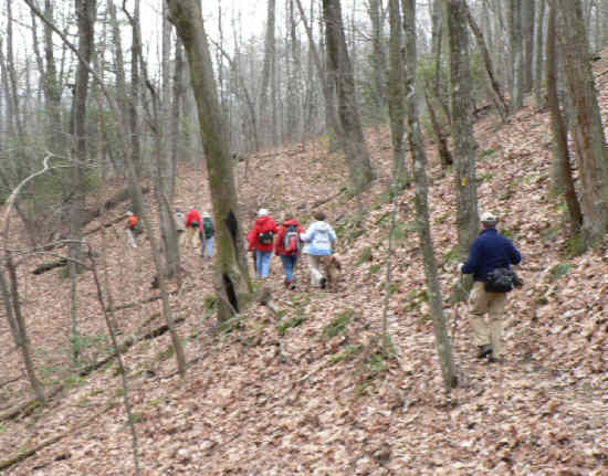 Another great day for a hike!