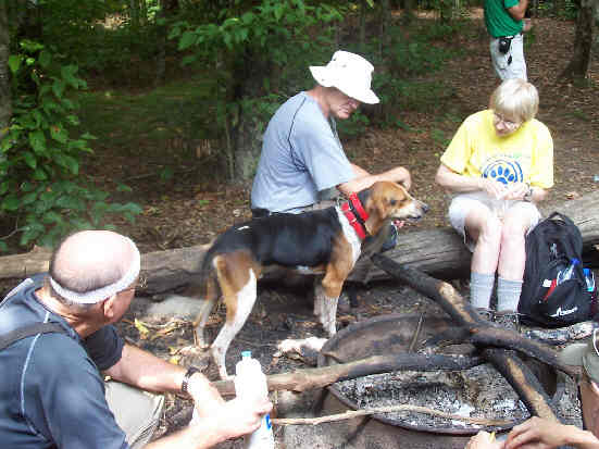 A lost hunting dog joined us along the way. .