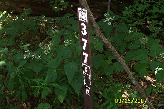 Trail marker on the way back. White Snakeroot blooming in background.