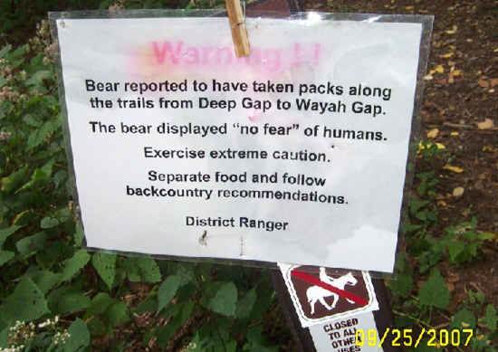 This is bear country!