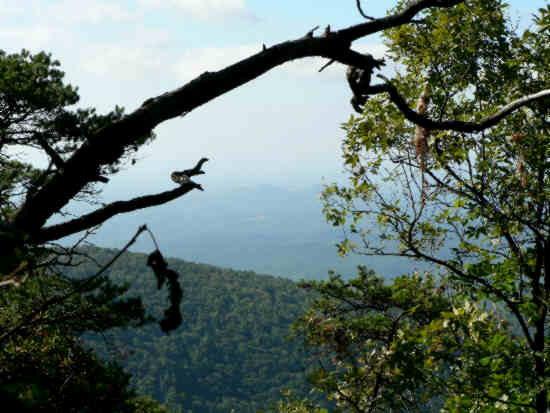 Nice views along the trail. .