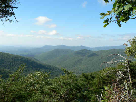 Awesome trailside view!