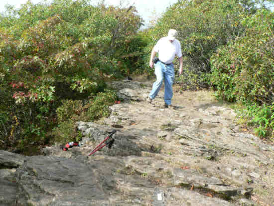 The summit of Tray Mountain (4,430 ft)
