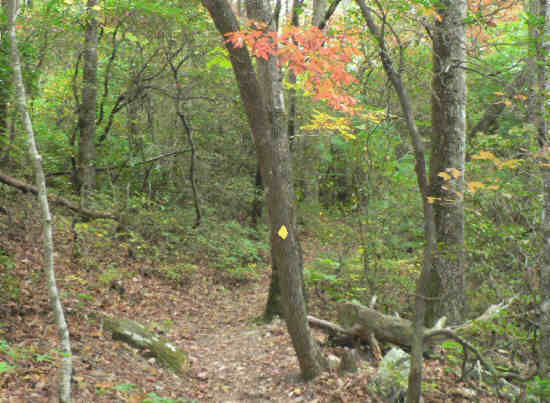 Autumn color is starting to show up in the mountains!