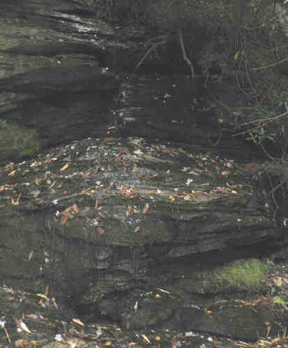 Normally a nice little waterfall but only a trickle due to severe drought! .