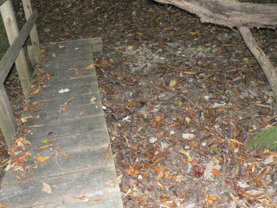 This footbridge crosses a dry creek bed! We need rain......