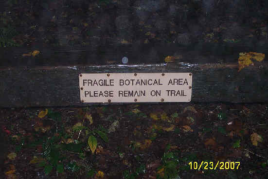 No one was even tempted to get off the trail! .