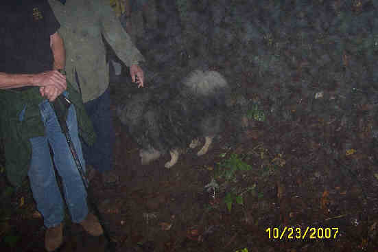 "Beau" the trail dog didn't mind the rain.