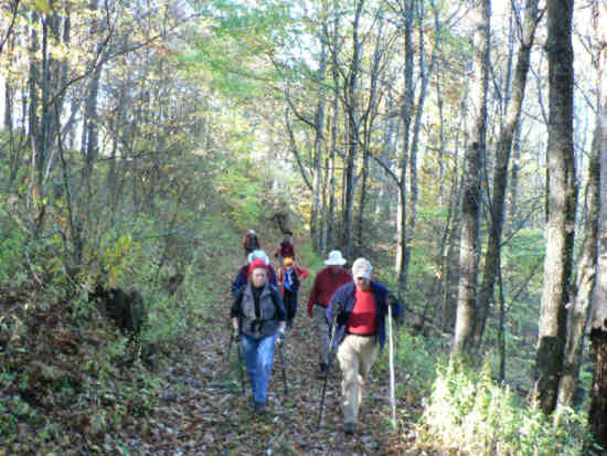 The trail is now completely covered with fallen leaves. .