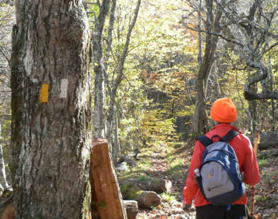 Yellow = Bartram White = Appalachian