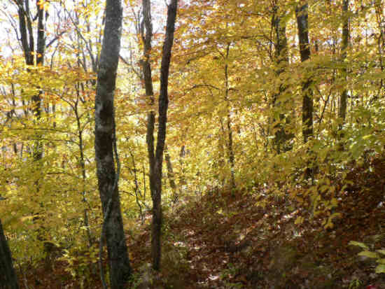 A beautiful Autumn day!