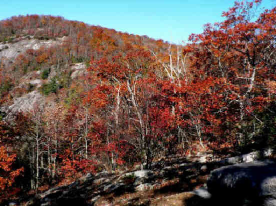 Typical colorful view along the trail today.