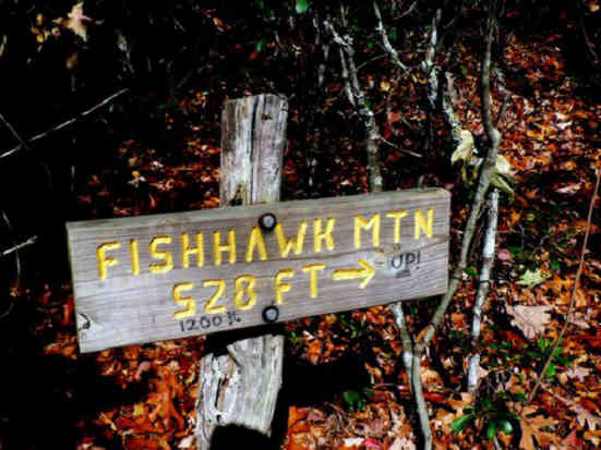 Side trail to summit of Fishhawk Mountain. Short but very steep!