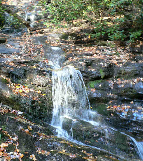Becky Branch Falls.