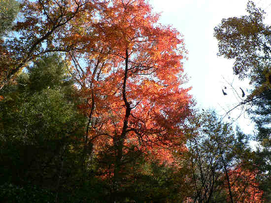 Another colorful day! .