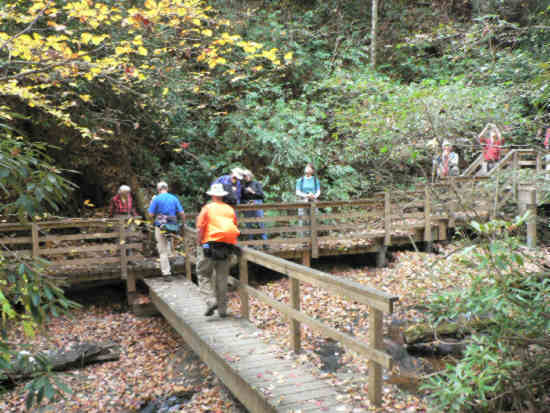 The bridge and viewing platform at Martin Creek Falls.