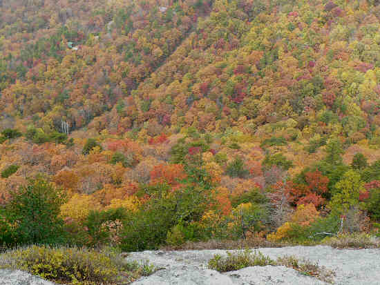 Looking down from Pinnacle!