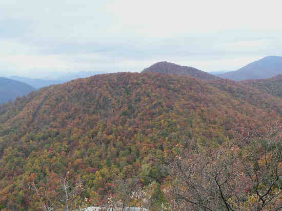 Another view