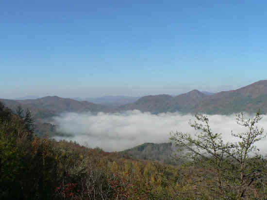 Another view