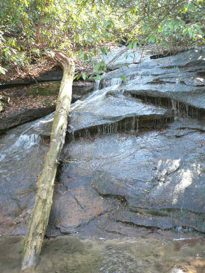 Nice water falls on the west fork.