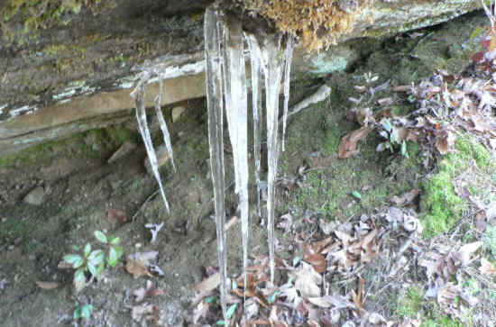 Results of a cool January night!